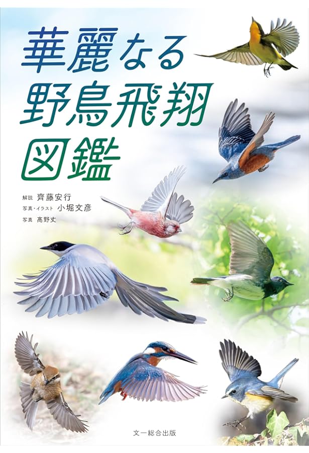 BIRDER 2024年 10 月号 [雑誌] |本 | 通販 | Amazon